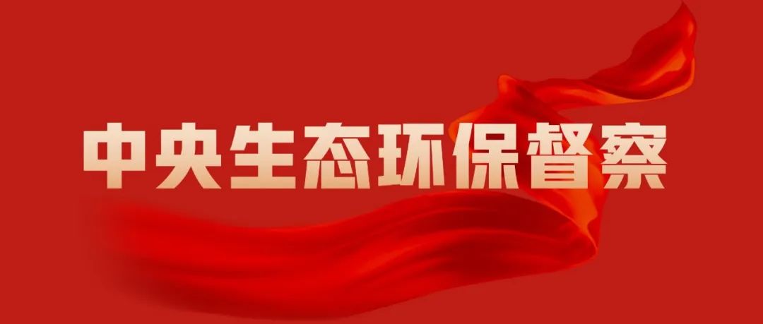 新洲区：持续推进长江大保护 江豚安家长江双柳段