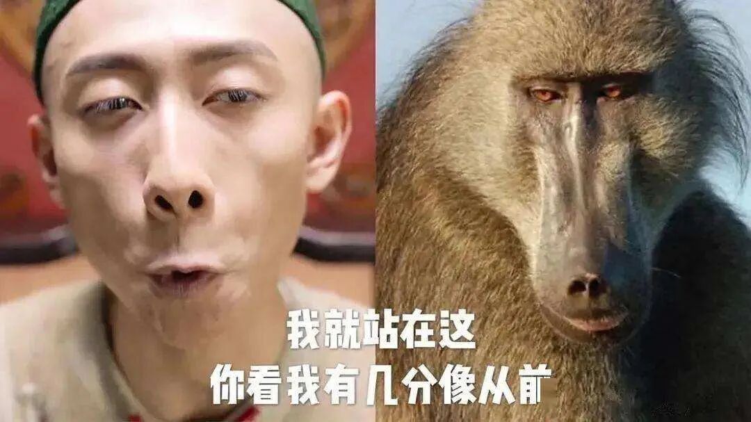 伟大的新版《鹿鼎记》,伟大的张一山! - 万星人 - 瓦斯阅读