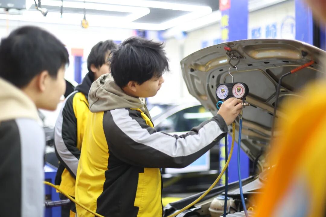 人均offer收割机