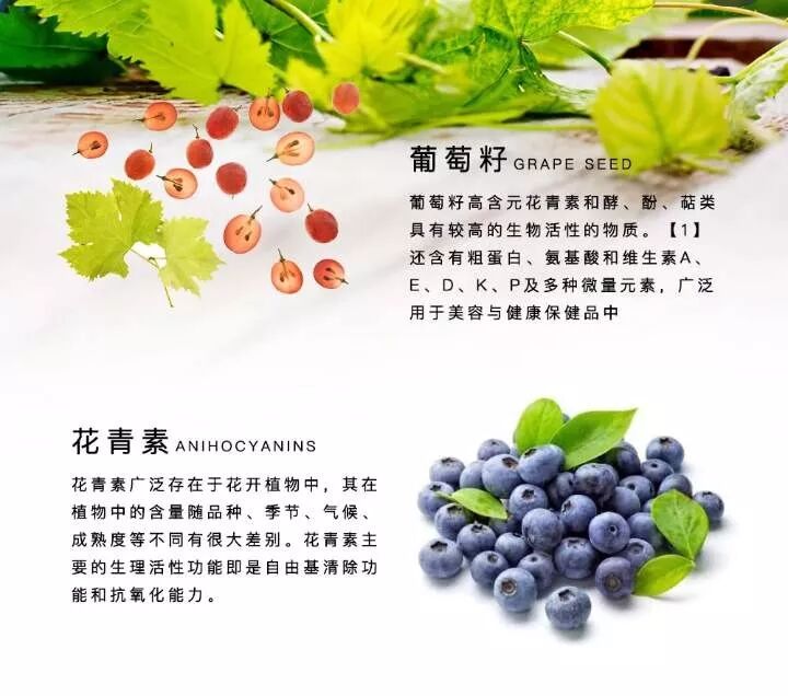萄葆饮美白嫩肤抗氧化 嘉镧五木本草服务号 微信公众号文章阅读 Wemp