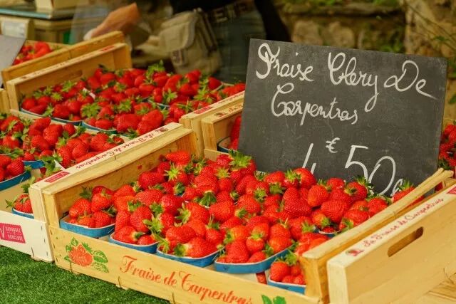 干货：法国普罗旺斯旅行攻略（一定不要自由行啊！）