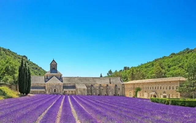 干货：法国普罗旺斯旅行攻略（一定不要自由行啊！）