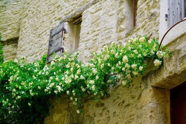 干货：法国普罗旺斯旅行攻略（一定不要自由行啊！）