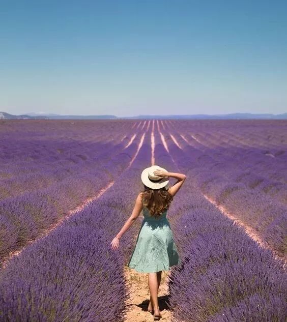 干货：法国普罗旺斯旅行攻略（一定不要自由行啊！）