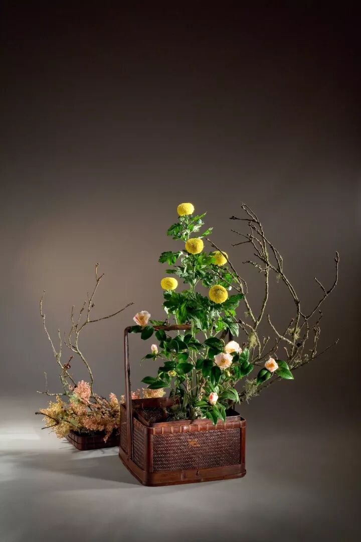 文人说菊丨最是悠悠菊香传 写尽文人不了情 自由微信 Freewechat