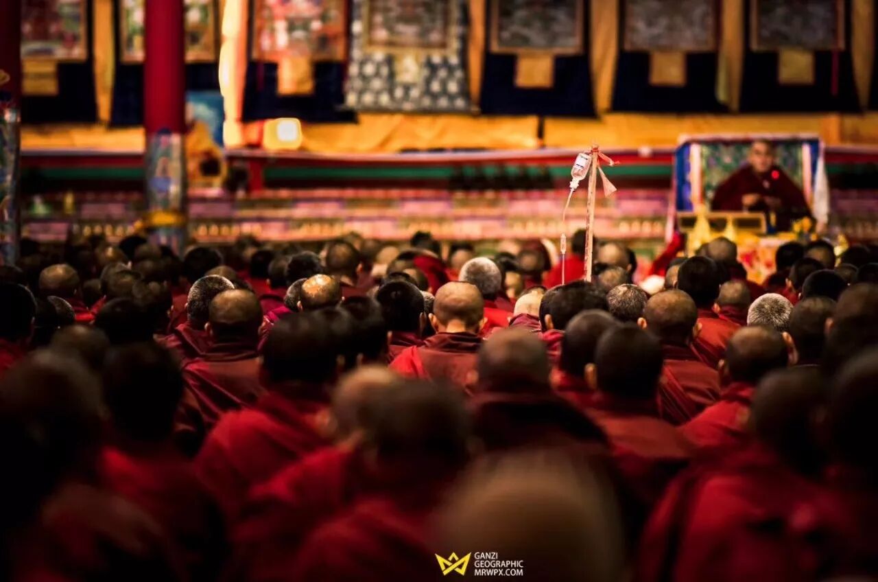 ����ʦ�� �ɶ�����ʦ��Ӱ��ѵѧУ