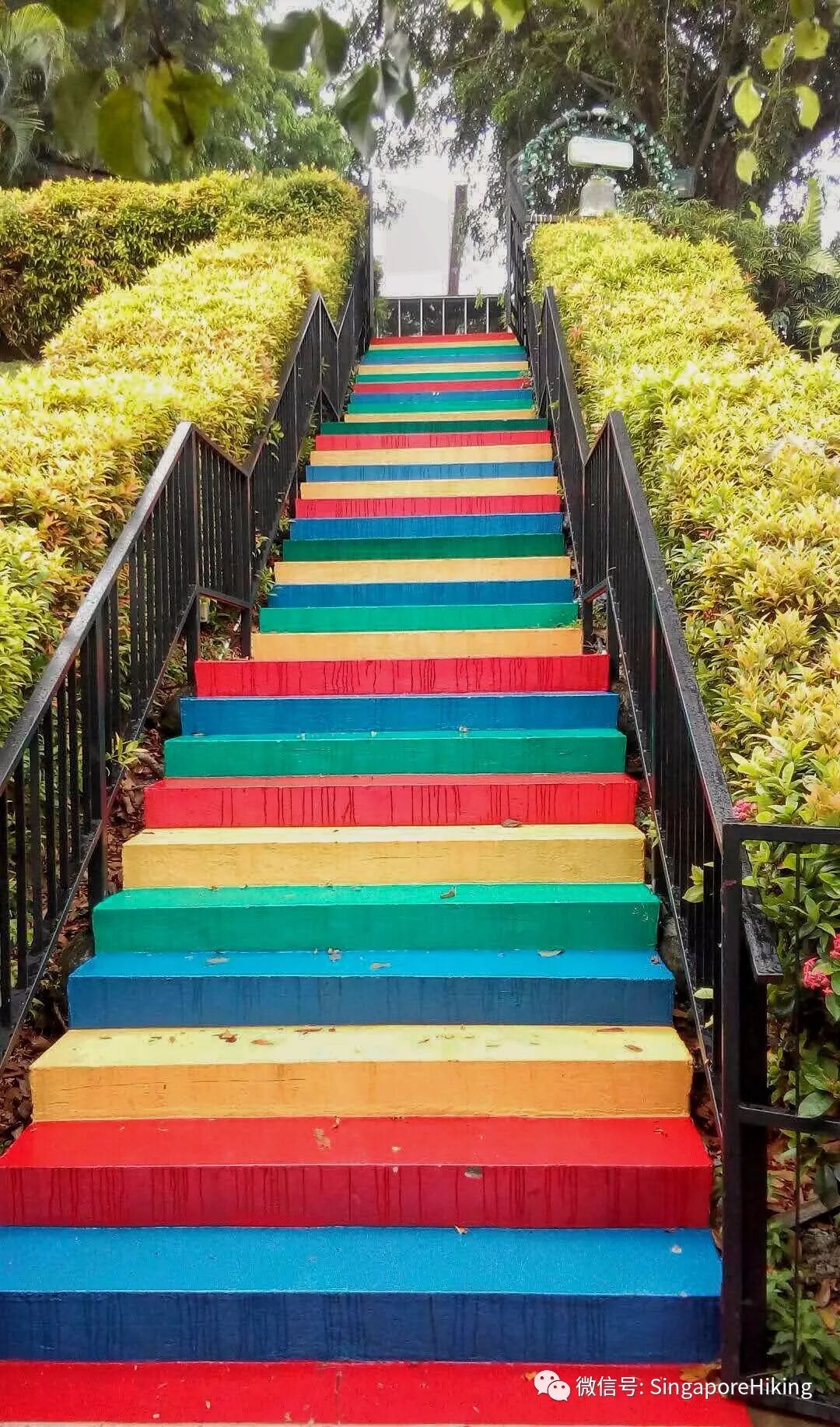 活动通知 6月28号夜徒南部山脊 周四夜徒 新加坡徒步平台 微信公众号文章阅读 Wemp