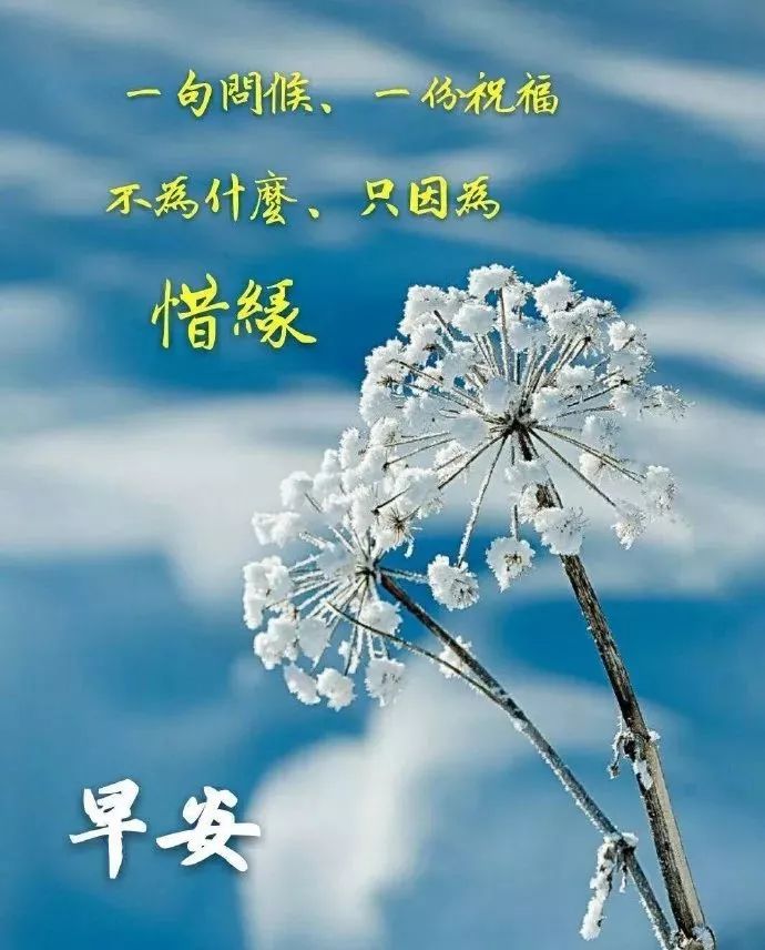 清晨早上好问候动态图温馨祝福语 早上好鲜花励志语图片 早上好问候语图片大全 微信公众号文章阅读 Wemp