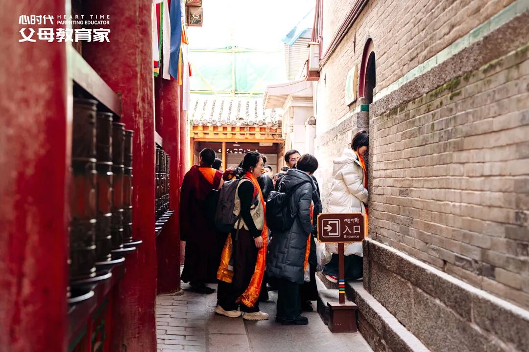 高二男孩因自己长不高而放弃学业？张兆鹏老师：“别劝他上学，先做这件事托住他！”