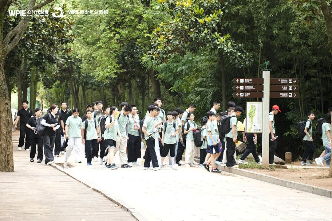 孩子吃完饭不收碗？恭喜你，这是培养“未来强者”的最佳时机！