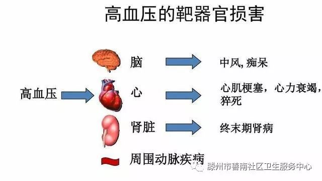 慢性病——認識高血壓 健康 第5張