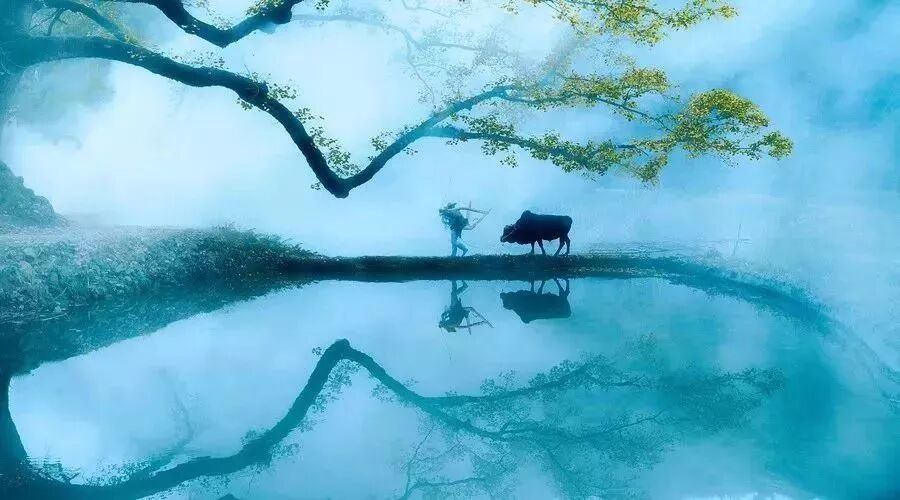 乡村生活，就是我最向往的生活