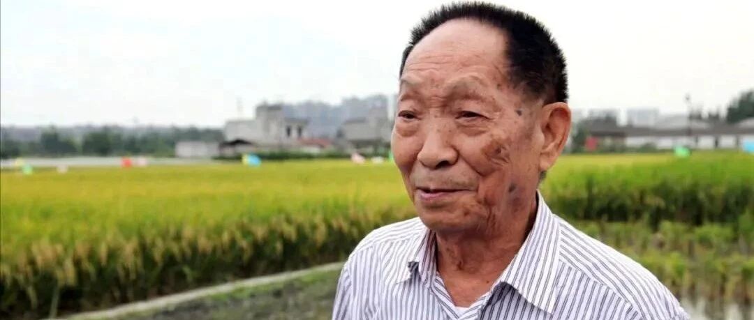 “90后”袁隆平定了两个“小目标”：无龄感，是一个人的顶级魅力