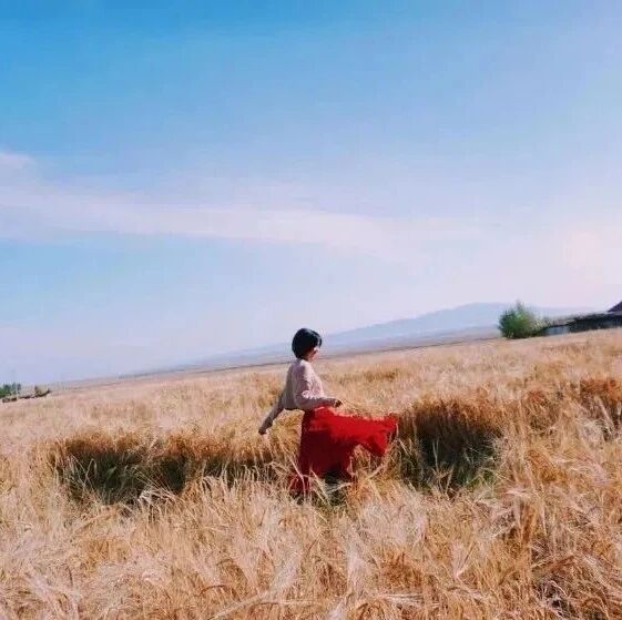 曾国藩：人有四算，天则一算（深度好文）