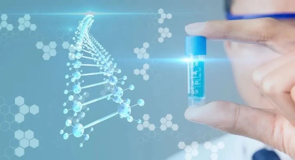 减肥药物奥利司他胶囊舒尔佳_药物减肥_减肥药物奥利司他的作用机制是