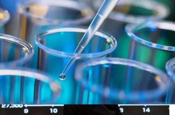 药物减肥_减肥药物奥利司他胶囊舒尔佳_减肥药物奥利司他的作用机制是