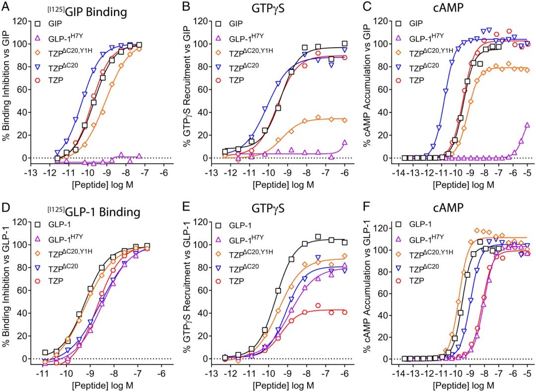 减肥药物奥利司他的作用机制是_药物减肥_减肥药物奥利司他胶囊舒尔佳