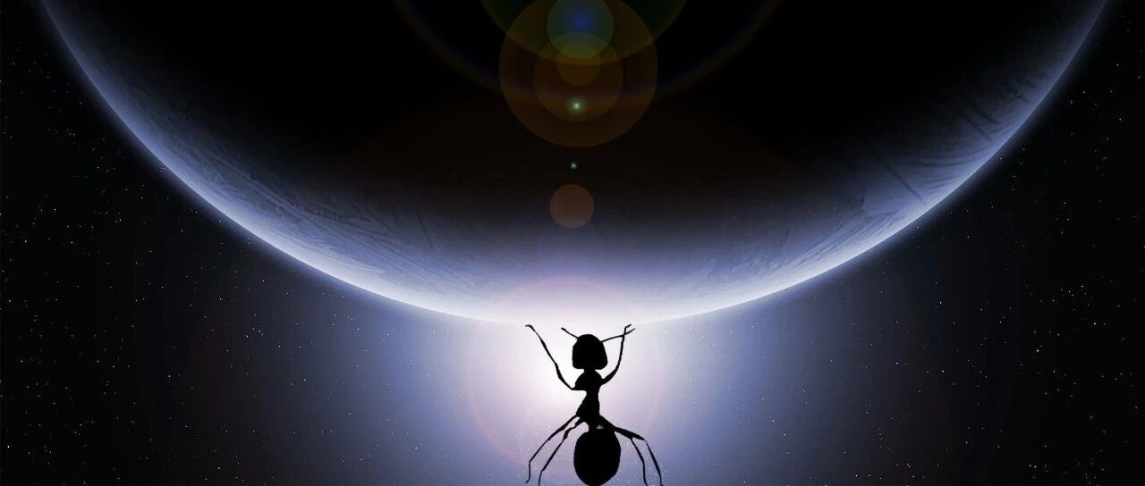 九卦 | 蚂蚁可以干掉大象，新爸爸不认老爸爸？