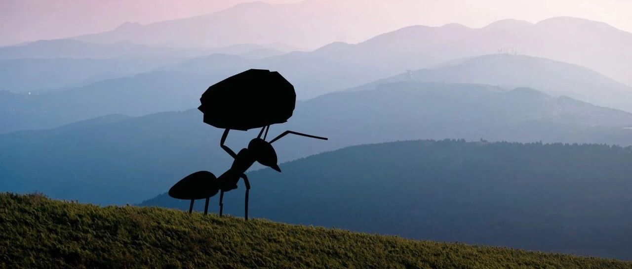 九卦 | 重磅！花呗借呗被点名，网络小贷行业面临超强监管！