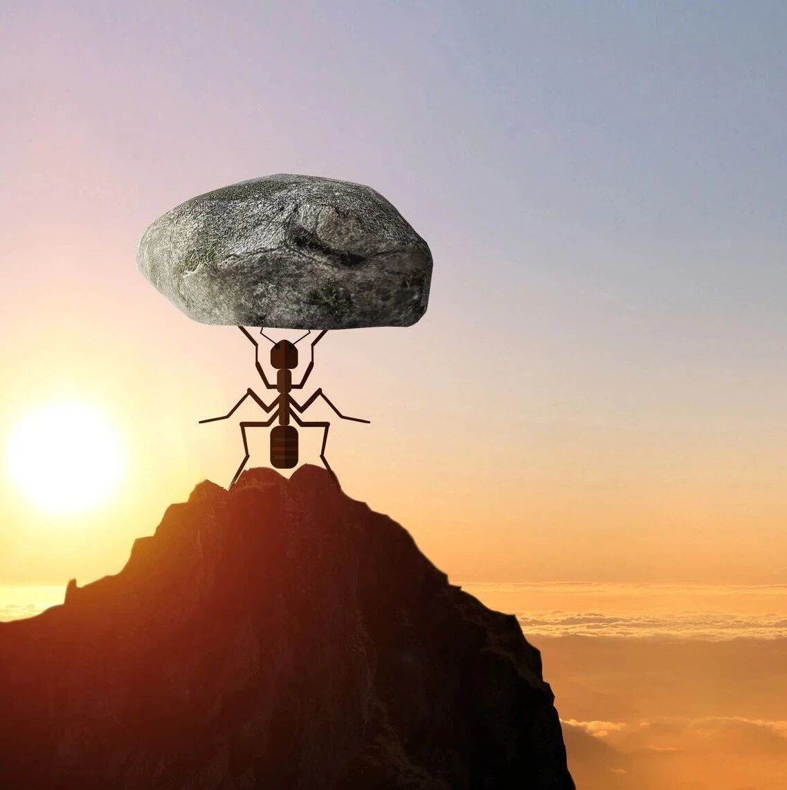 九卦 | 对蚂蚁金服的近距离审视，一个金融从业者的再思考