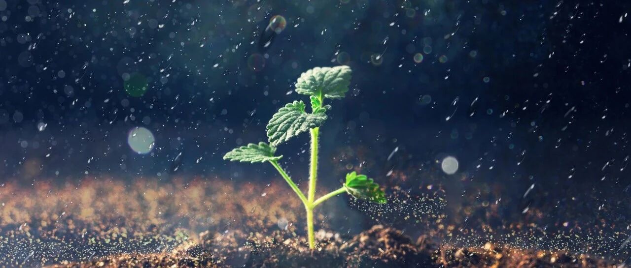 九卦 | 信贷3.0：让客户重返银行