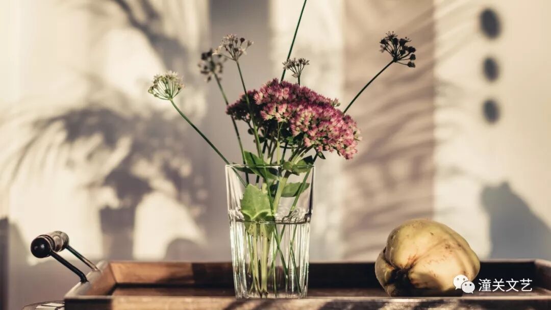 丨丨a丨丨_丨丨丨丨丨打一成语醒_绿母