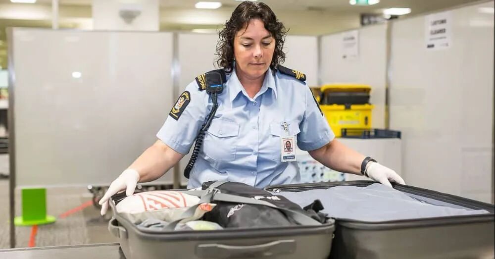 Tips on Importing Goods Into New Zealand