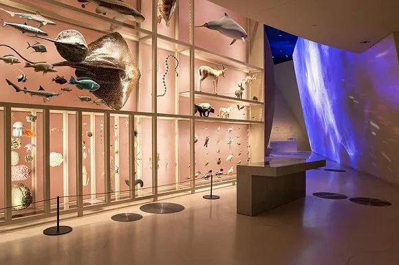 沙漠中的玫瑰，建築師讓·努維爾設計的卡達國家博物館 旅遊 第7張