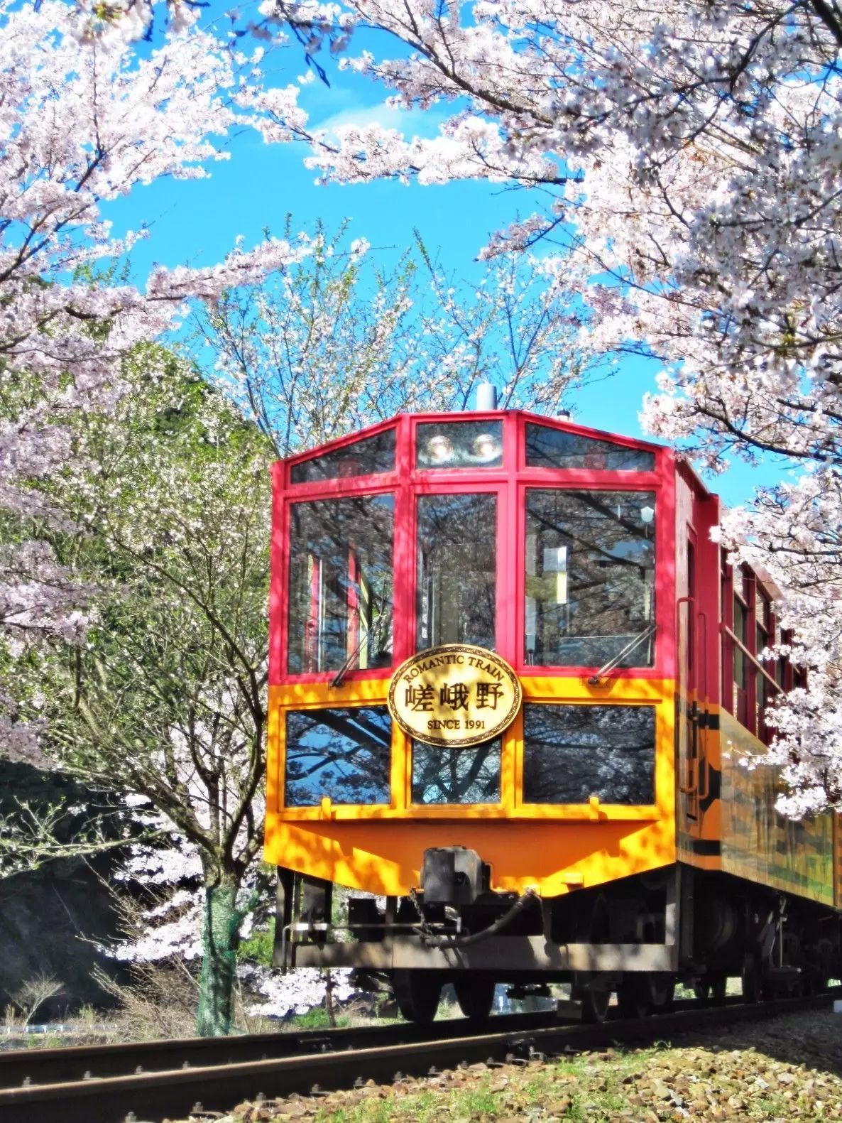 乘坐復古的嵐山小火車到達京都著名景區嵐山,這裡的風景古老溫和而