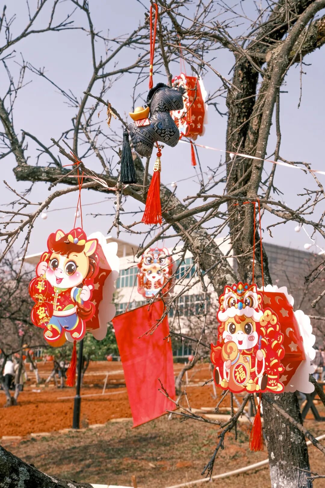 微信图片_2026-03-15_141242_448