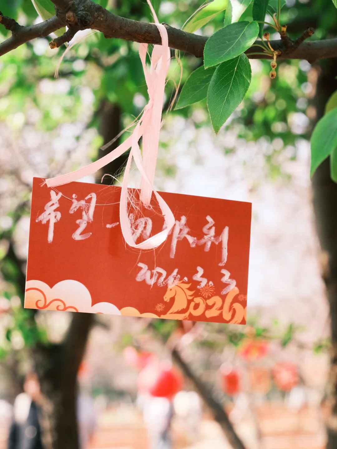 微信图片_2026-03-15_141305_382