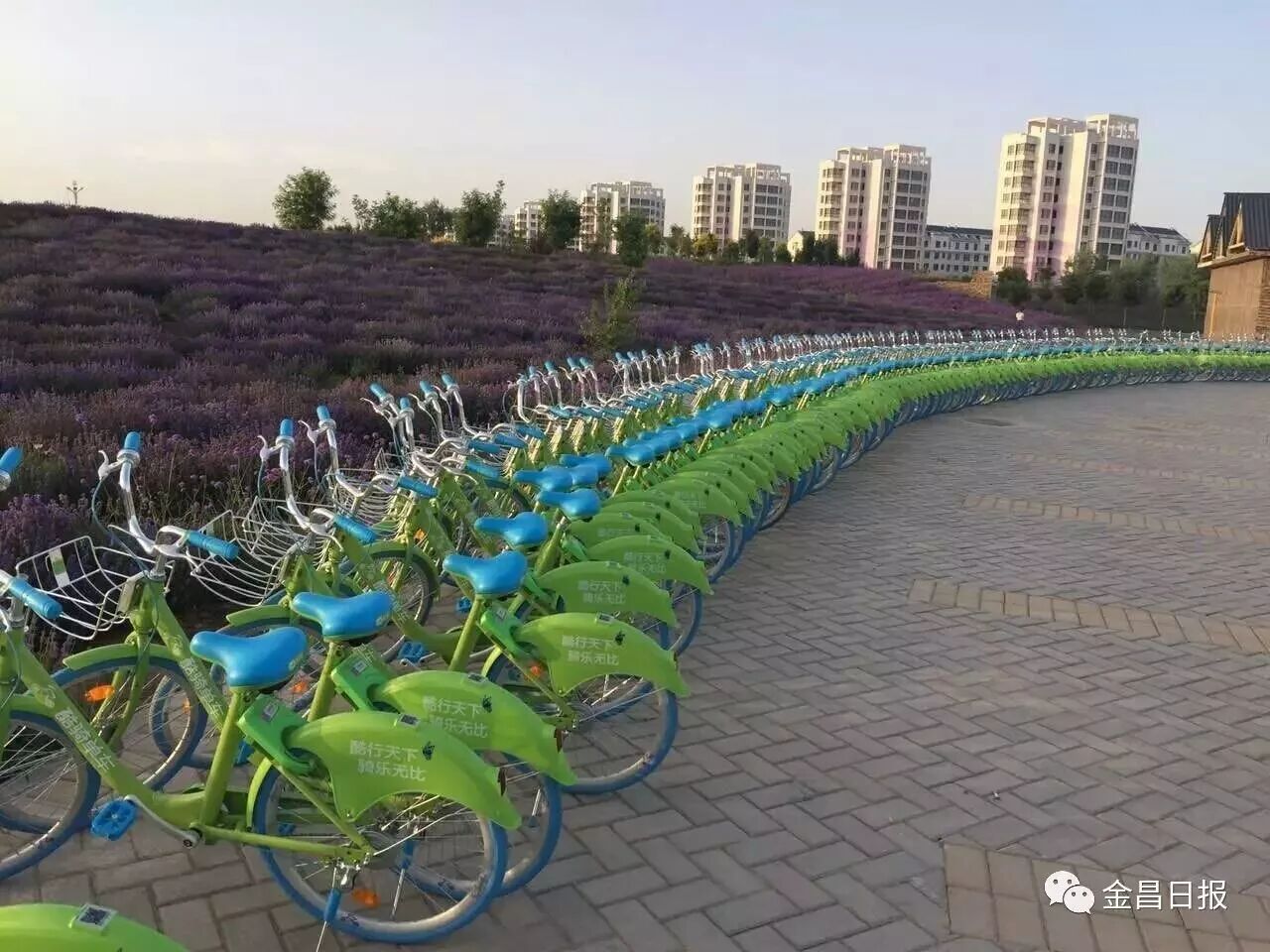 金昌2018，带着信心起航！