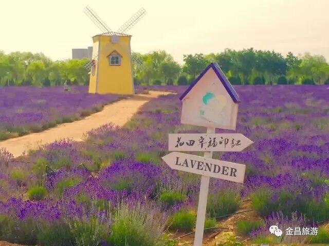 金昌2018，带着信心起航！