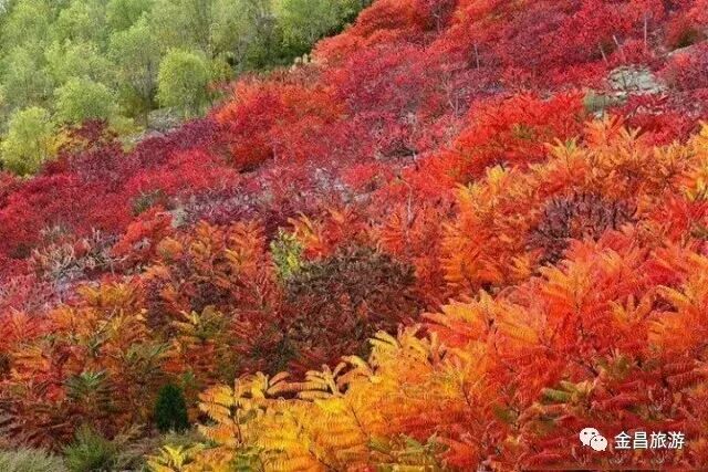 金昌2018，带着信心起航！