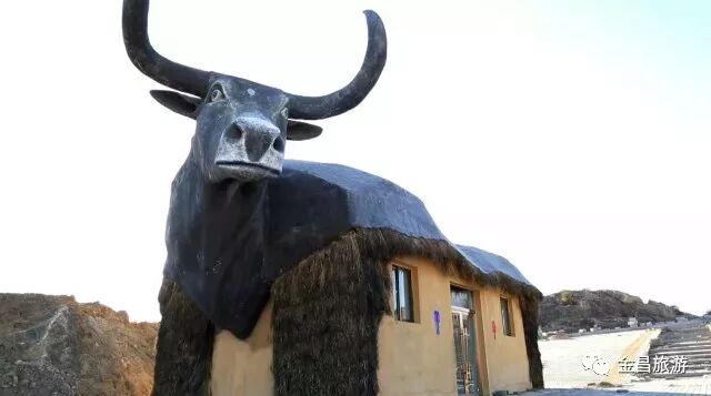 金昌2018，带着信心起航！