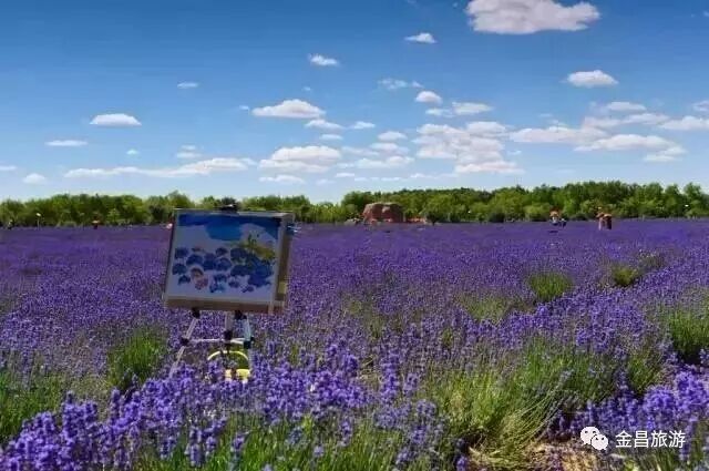 金昌2018，带着信心起航！