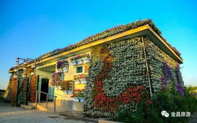 金昌2018，带着信心起航！