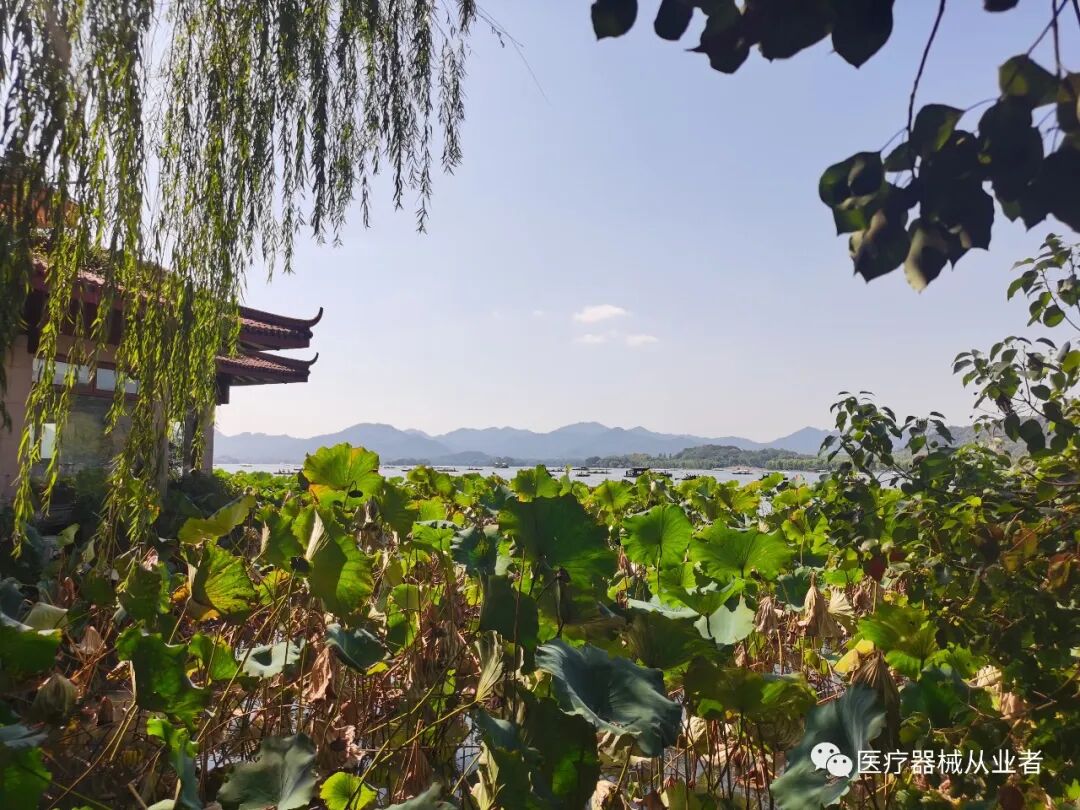 什么是定制式义齿【学习】定制式义齿医疗器械基本常识_https://www.jmylbn.com_新闻资讯_第1张