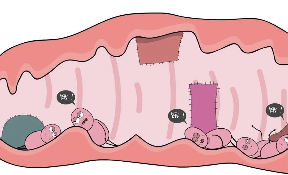 妇科用臭氧治疗什么关爱女性，臭氧治疗呵护阴道微生态健康_https://www.jmylbn.com_新闻资讯_第2张