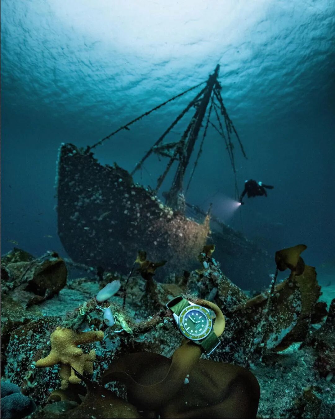 令人大开眼界的海底沉船i水下摄影