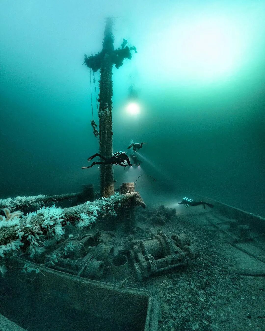 令人大开眼界的海底沉船i水下摄影