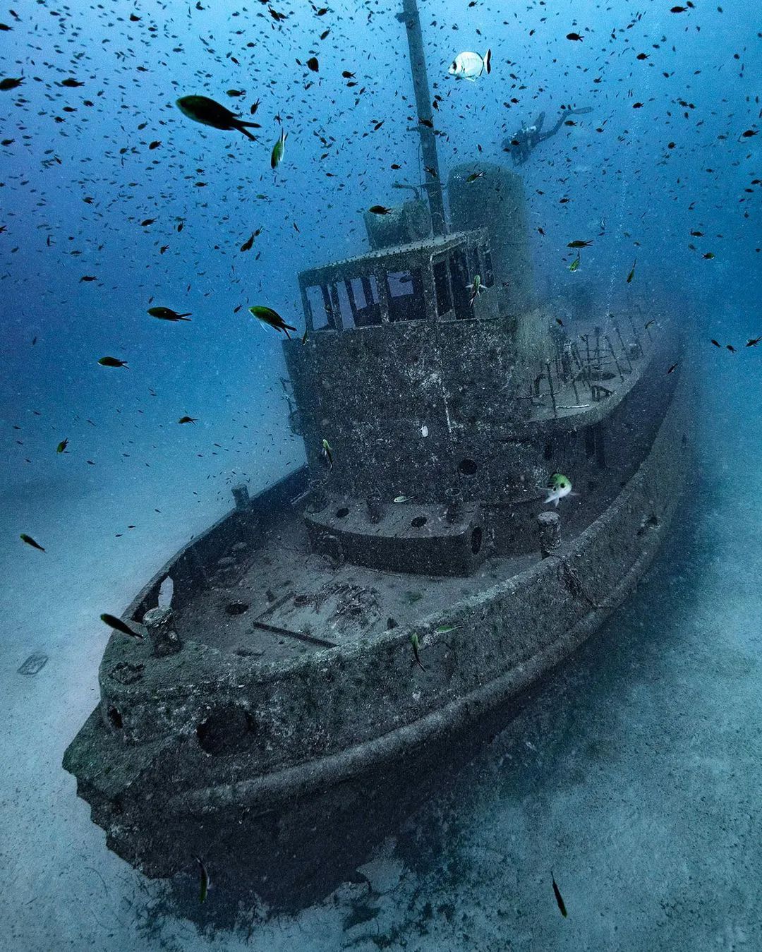 海底破旧的沉船怎么画图片