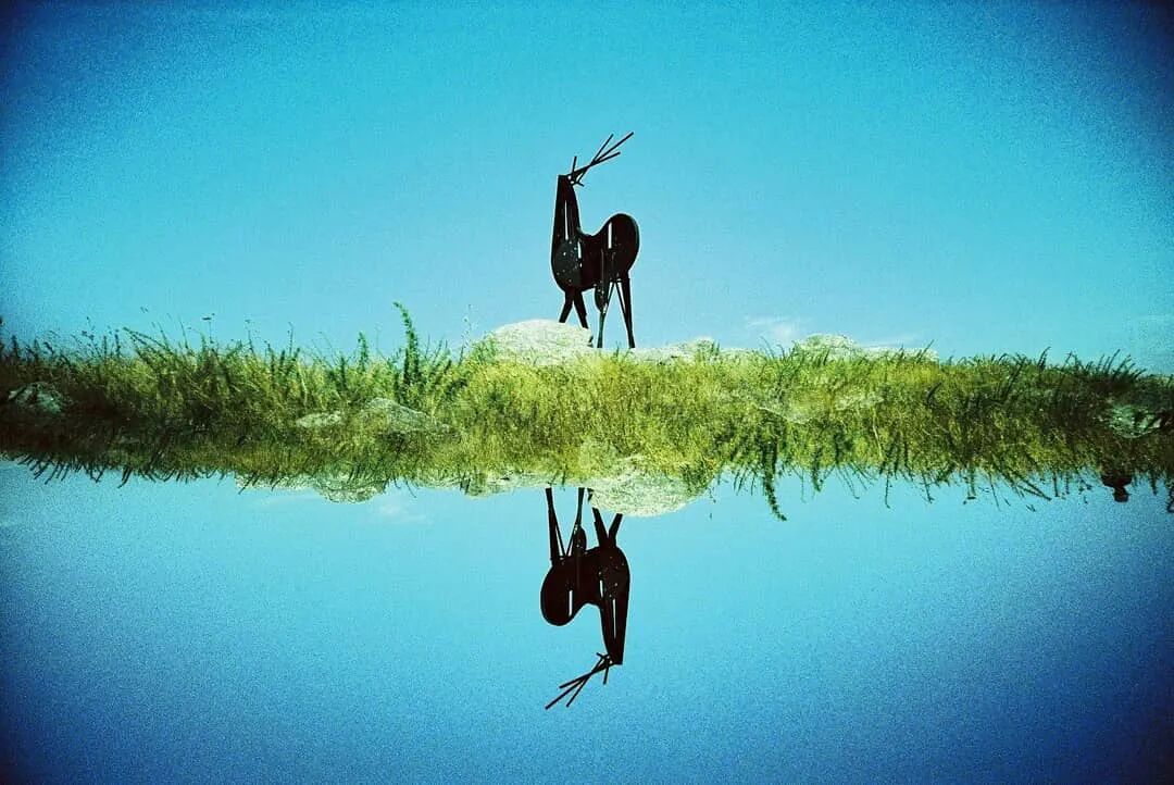 恣意纯粹主观的拍摄方式