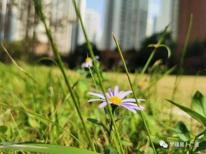 八字月令不能破破者不吉则凶行什么运都好不起来_周易易经算命(图2) 图片