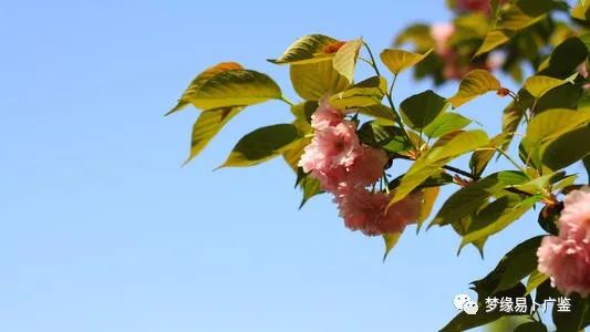 我们是否是对方的正缘?婚配怎么样_电脑算命婚姻(图2) 图片