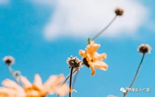 一从儿格女命年过四十为何层次依然普通_电脑算命婚姻