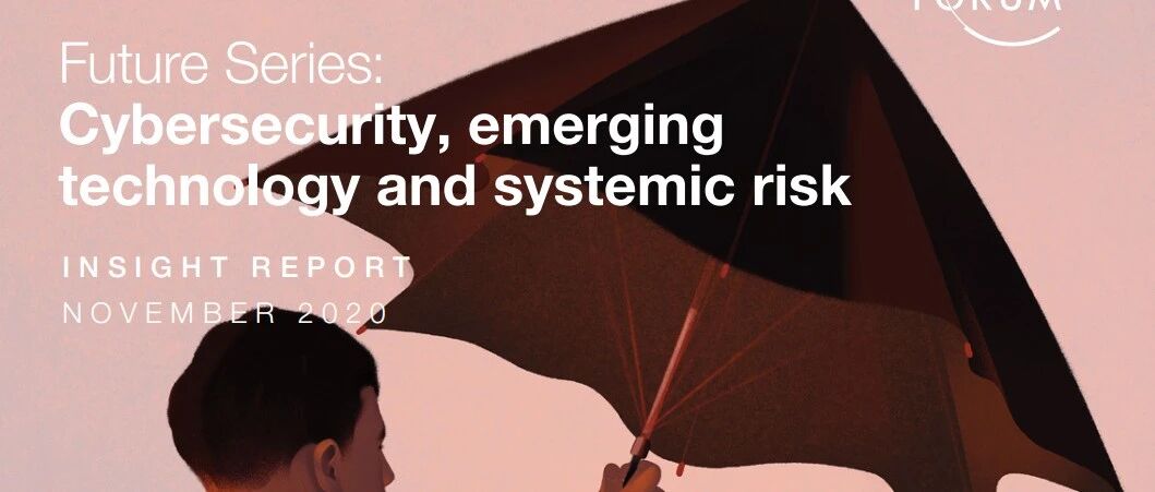 技经观察 | 世界经济论坛：网络安全、新兴技术与系统性风险（下）