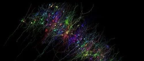 2021年人工智能领域科技发展综述