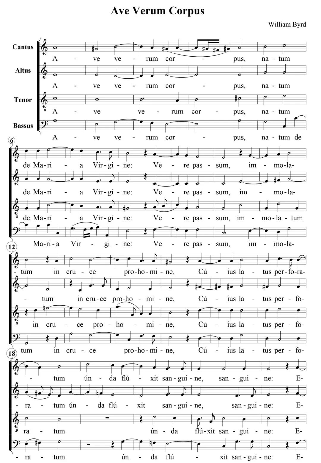 超级神圣 好听的拉丁圣乐 Ave Verum Corpus 圣体颂 Latin Mass 微信公众号文章阅读 Wemp