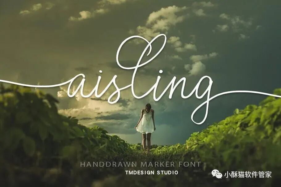 【01】32款高端手写英文字体！绝对可以冲击甲方视觉！插图9小新卖蜡笔
